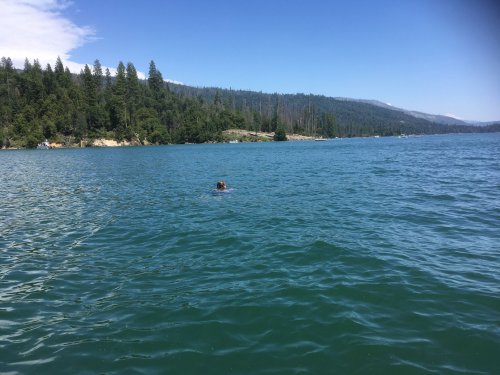 swimming at the lake